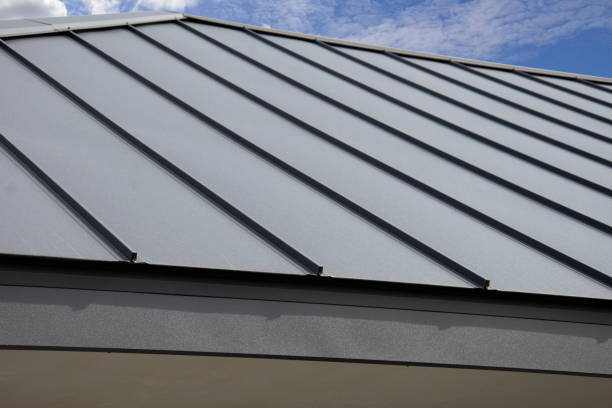 Best Metal Roofing Installation  in Rich Hill, MO